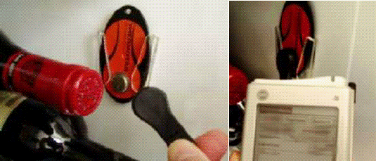 iButton Temperature Logger
